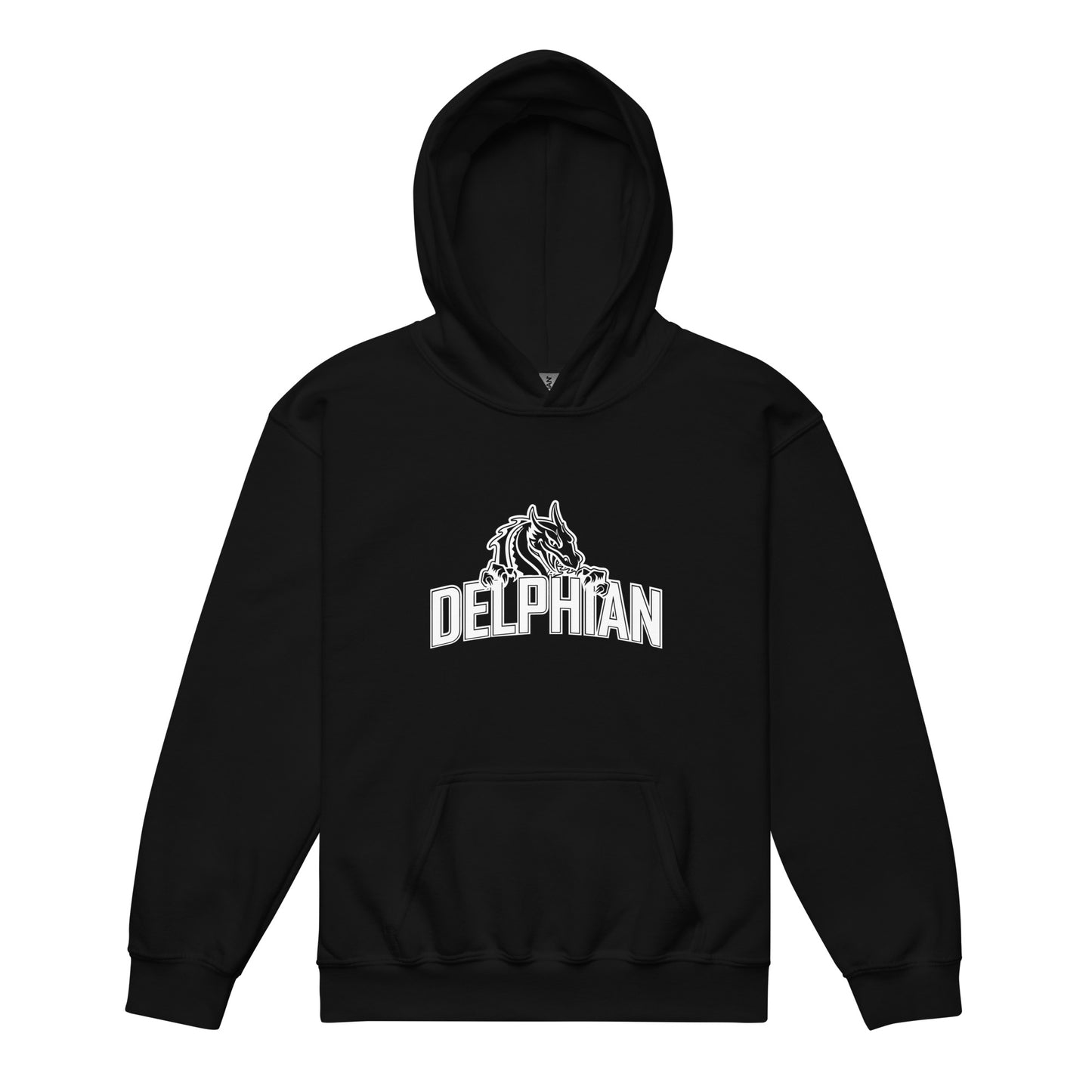 Delphian Dragon - Youth heavy blend hoodie