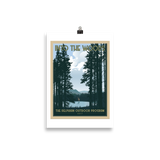Into The Woods Art Print