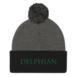Pom Pom Knit Cap